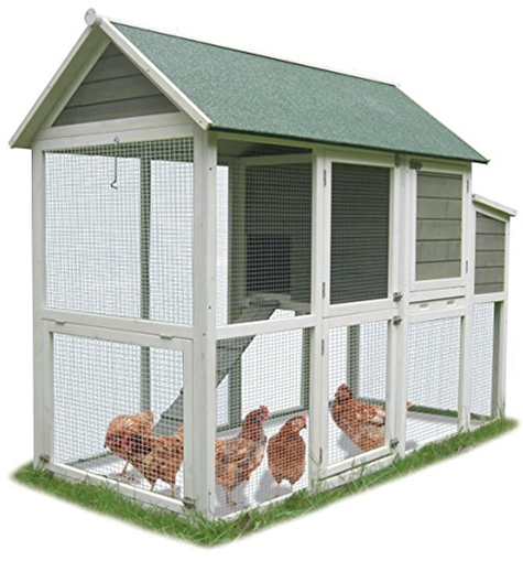Coops Feathers Superior Hen House Sls Inc